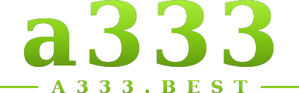 a333 logo